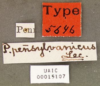 Media type: image;   Entomology 5646 Aspect: labels